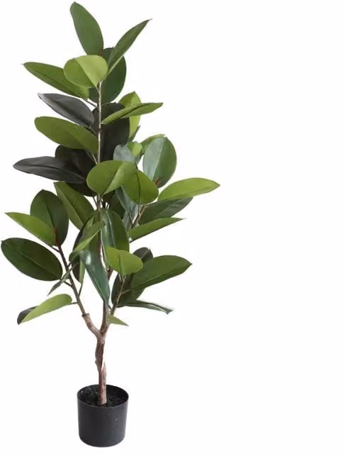 KDMD Green Artificial Rubber Plant in a Potted Plastic Design