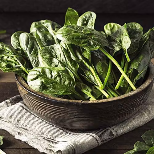 Thompson & Morgan Spinach Monnopa Vegetable Seeds, 1 Packet