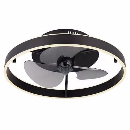 Netlighting Globo Lighting Dimmable LED Ceiling Fan with Remote Control and Timer, Black, D x H: 50 x 14.5 cm – 1