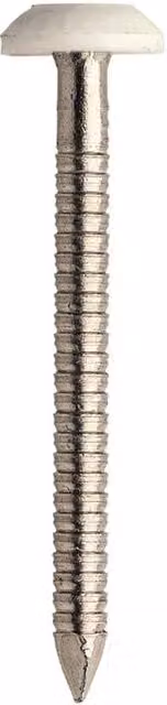 JCP Construction Products White Plastic Headed Stainless Steel Round Nails, 50 x 2.65 mm, Box of 100