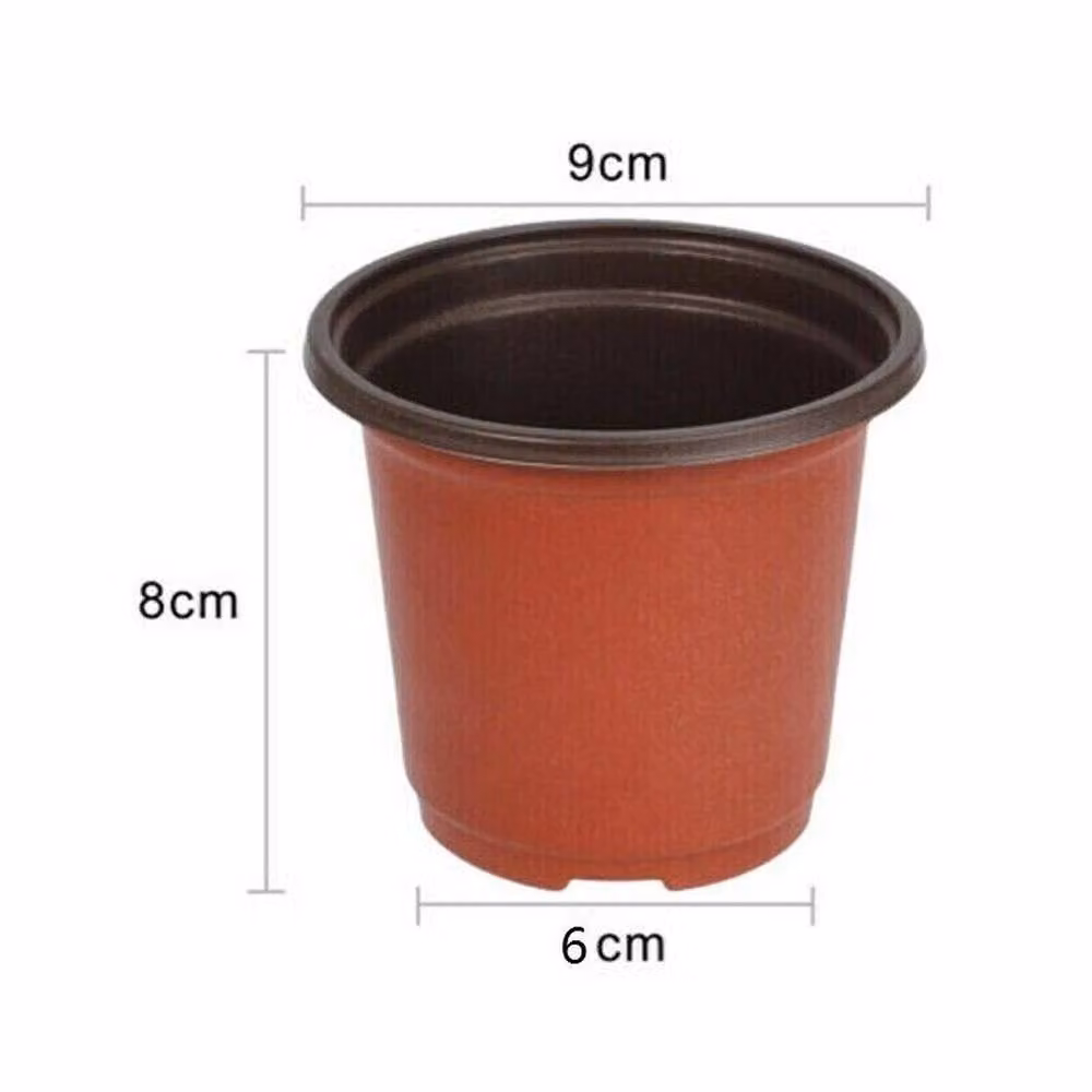 NESTLUNE Plastic Multipurpose Seedling and Flower Planter Pot in Orange – 2