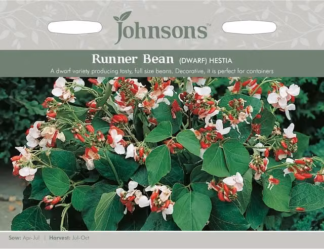 Johnsons Dwarf Hestia Runner Bean Vegetable Seeds, Multicolour