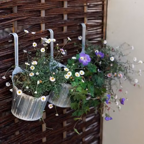 Primrose Set of 3 Rustic Metal Hanging Round Decorative Planters in Silver and White, Diameter: 17 cm – 3