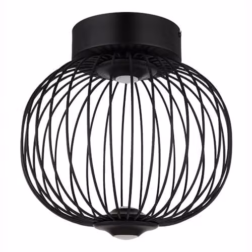 Netlighting Globo Lighting Sphere LED Ceiling and Wall Lamp, Black, Diameter: 30 cm – 1