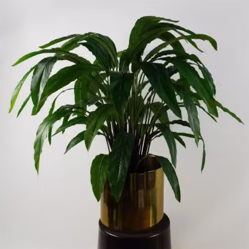 Leaf Design UK Realistic Large Artificial Calathea Foliage Plant in Green, Height: 60 cm – 6