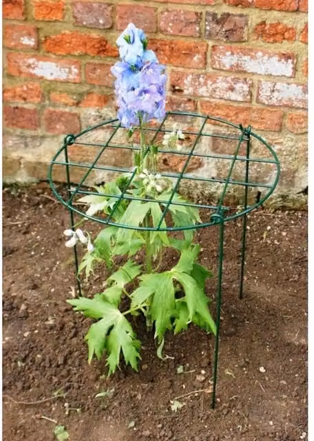 Poppyforge Green Steel Grow Through Ring Pack of 4, Diameter: 30.48 cm