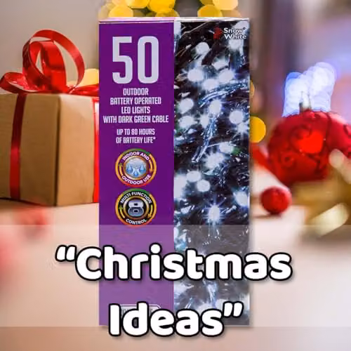 VFM e-Store Cool White Christmas String Lights with 50 Bulbs – 5