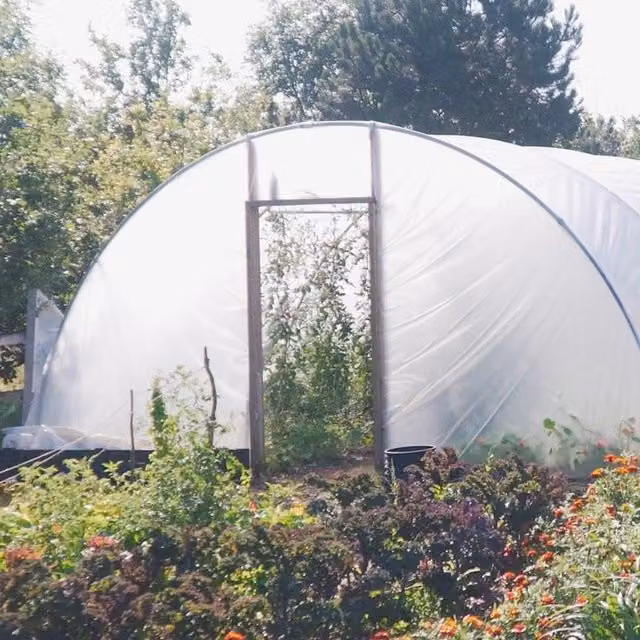 Direct Polytunnels Heavy Duty Professional Polytunnel Kit with Galvanised Steel Frame and Transparent Plastic Cover