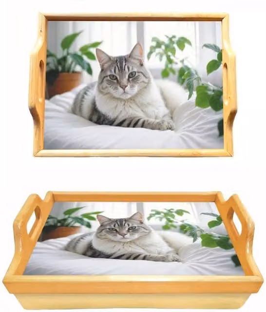 PAWNORA Cat Lap Tray with Bean Bag Padded Cushion in Beige, W/D: 100 x 100 cm – 1