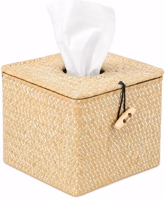 Kelvenix Square Seagrass Woven Tissue Holder in Beige