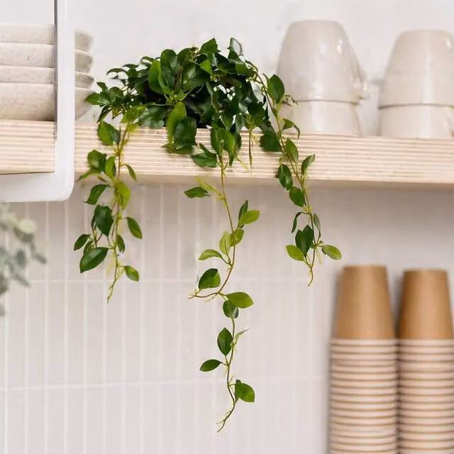 Leaf Premium Green Artificial Trailing Ficus Vine Stem, Height: 55 cm – 1