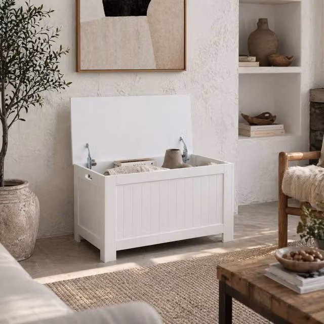 Wyld Haus Loro White Lift Top Storage Chest with Soft Close Lid – 1