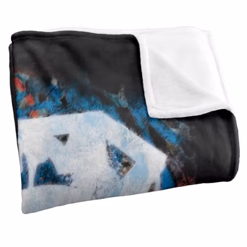 Warner Bros. Superman Real Heroes Never Die Super Soft Fleece Throw Blanket, Multicolour, W: 152 cm, D: 127 cm – 2