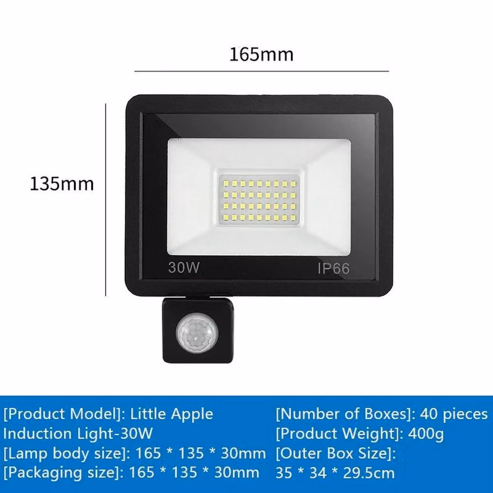 SPETLEK Black LED Outdoor Floodlight with Motion Sensor and Cool White SMD Light – 2