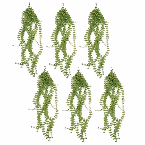 Pack of 6 Green Leaf Artificial Hanging Pearl String Plants, UV and Fire Resistant, 92cm