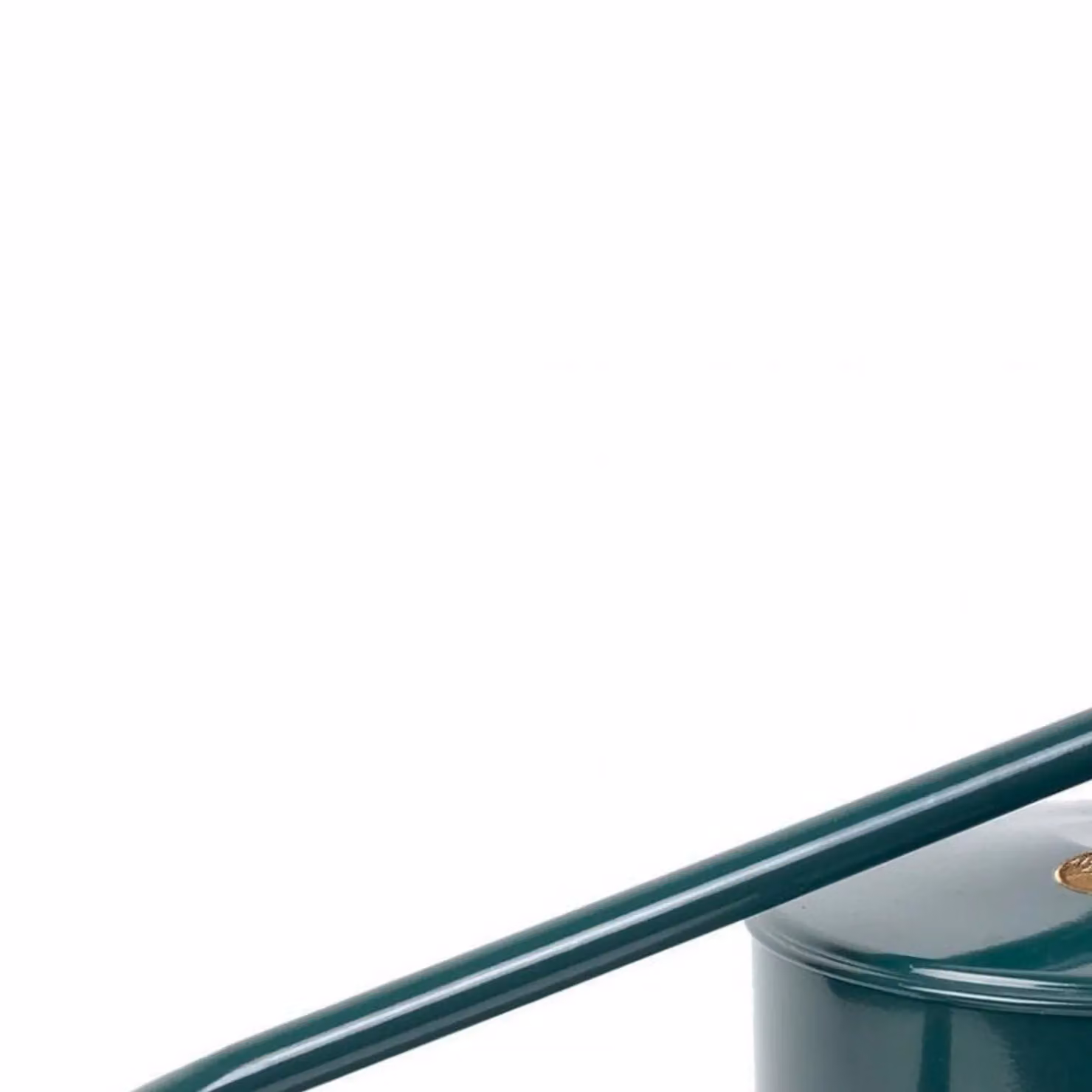 Kent & Stowe Classic Long Reach Watering Can, 9 Litre, Green and Multicolour Galvanised Steel – 2