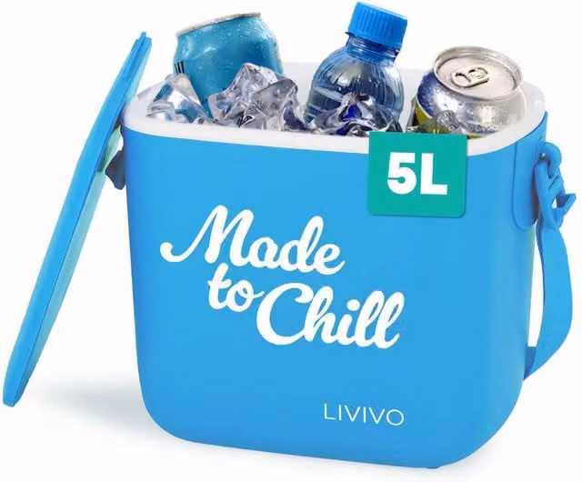 LIVIVO Lightweight Portable 5 l Foam Insulated Cool Box with Carrying Strap, Blue