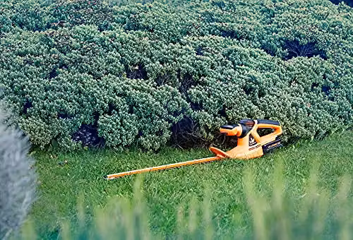 LawnMaster MX 24V Cordless Reciprocating Hedge Trimmer with Rechargeable Battery and Charger, Orange, 52 cm Blade – 2