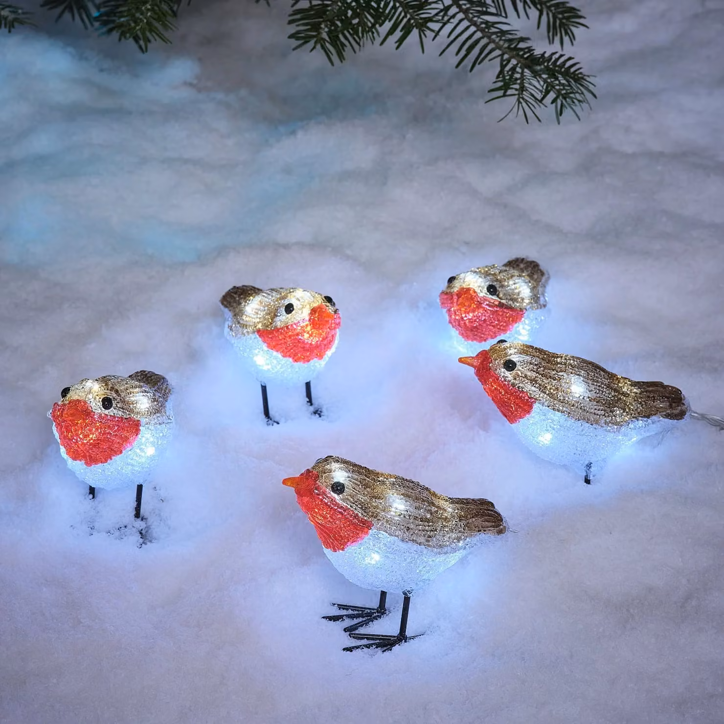 Set of 5 Red and Multicolour Acrylic 3D LED Outdoor Christmas Robin Figures with Timer