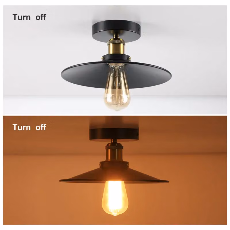 Garwarm Set of 2 Industrial Black Aluminium Flush Mount Ceiling Lights, Diameter: 26 cm – 6