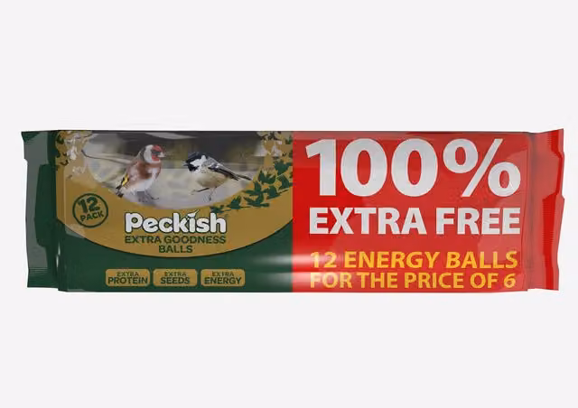 Peckish Extra Goodness Energy Bird Balls, Multicolour, Pack of 12