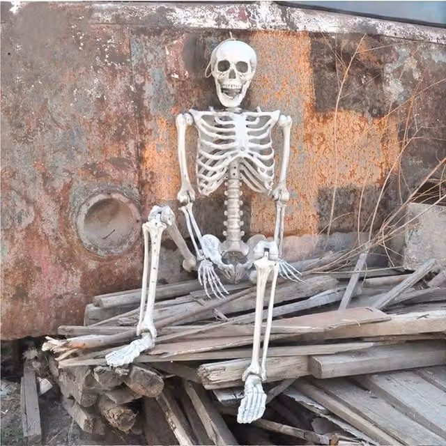 NESTLUNE Realistic White Full Body Skeleton Halloween Prop for Adults, H 100 cm x W 15 cm – 1