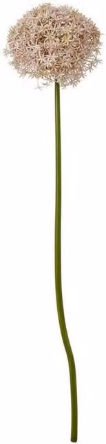 Lemon Pavilion Purple Giant Allium Single Stem Plastic Flower, W/D/H: 21 x 21 x 90 cm – 1
