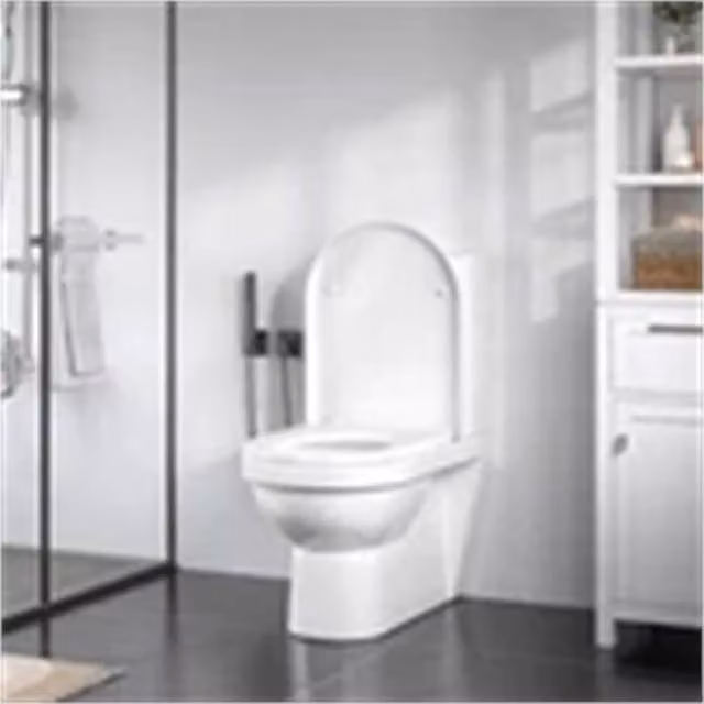 WOLTU White D-Shaped Soft Close Toilet Seat