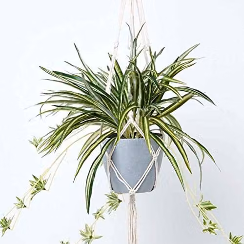 Homescapes Artificial Hanging Spider Plant in Green with Grey Pot and Macramé Hanger, 95 cm – 1