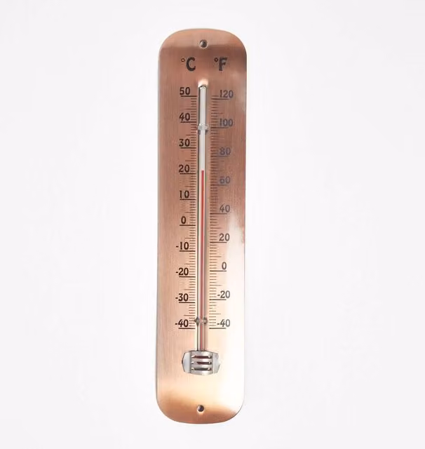 Homescapes Rustic Copper Metal Wall Thermometer in Bronze