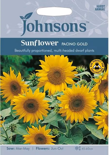 Johnsons Pacino Gold Sunflower Seeds for Ornamental Gardens