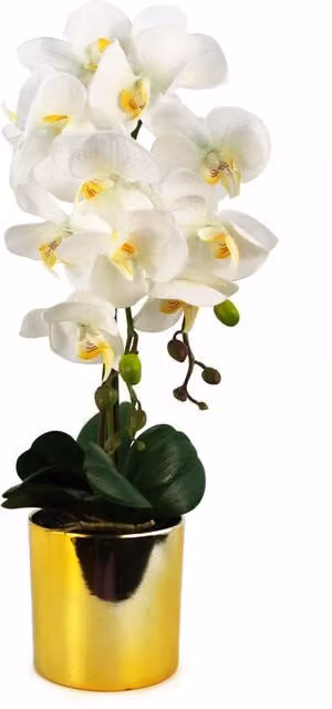 Artificial Real Touch Orchid in White and Gold Decorative Pot, Height: 52 cm