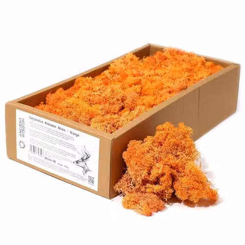 KDMD Orange Decorative Reindeer Moss, 500g