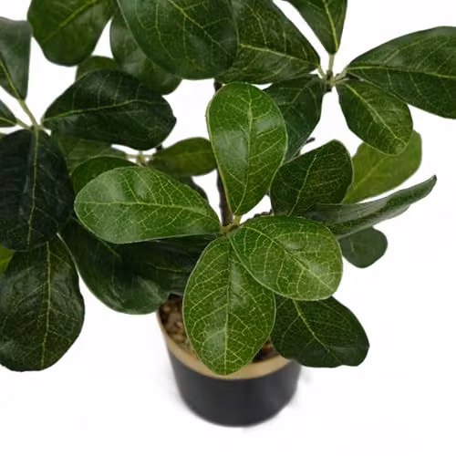 Leaf Green Artificial Tabletop Bonsai Tree H 60 cm x W 30 cm x D 30 cm – 3