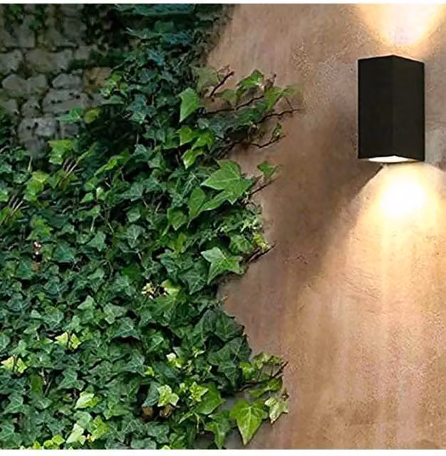 CGC Lighting Tiago Black Up and Down Double Wall Spotlights for Garden