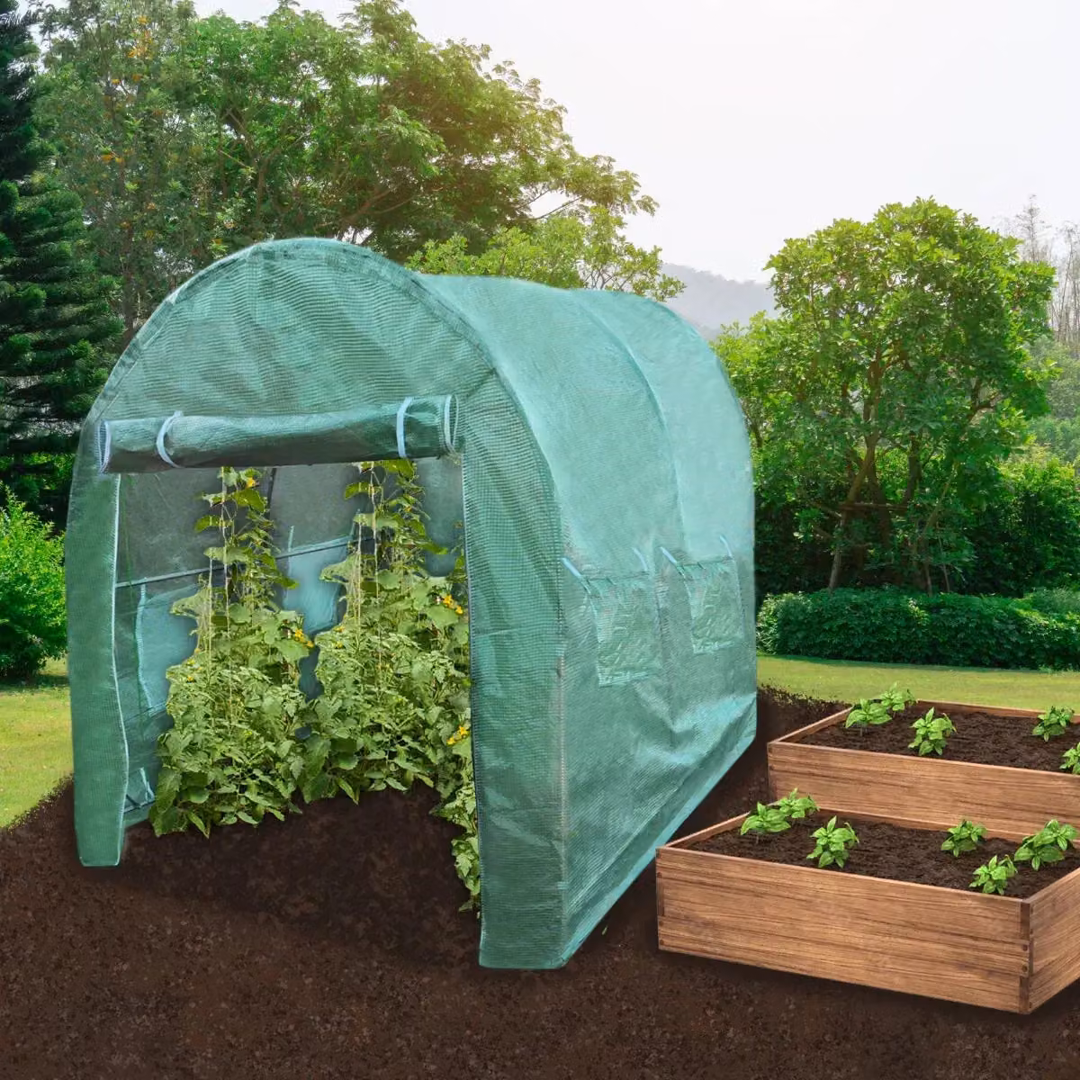 Monstershop Green Polycarbonate Polytunnel Growing Aid – 3