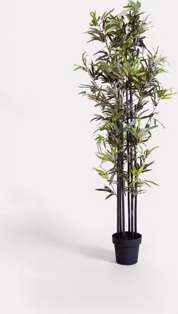 Blooming Artificial 5.5ft Black Stem Bamboo in Pot, Green