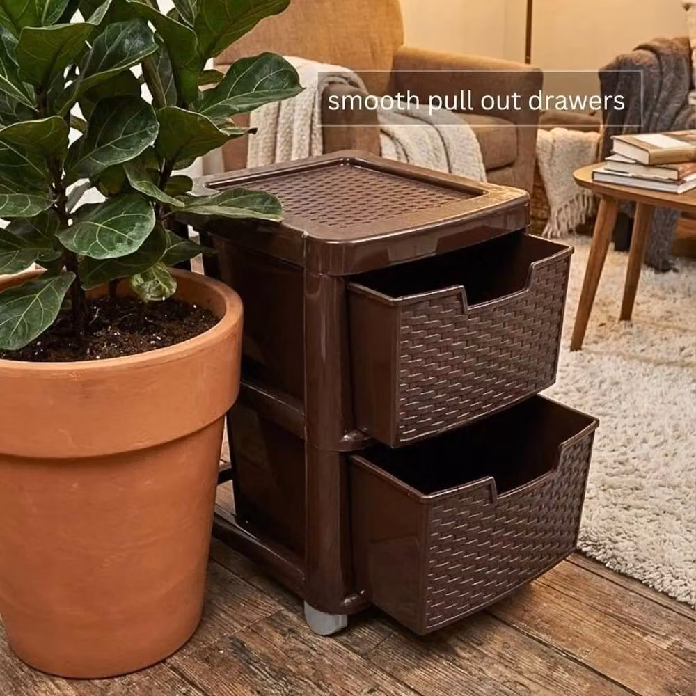 FORGEVIO 2 Tier Plastic Storage Drawer Cabinet in Brown – 3