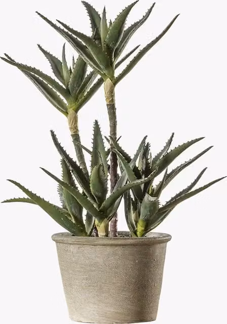 Perch & Parrow Green Faux Potted Aloe Succulent in a Rustic Wood Tabletop Pot