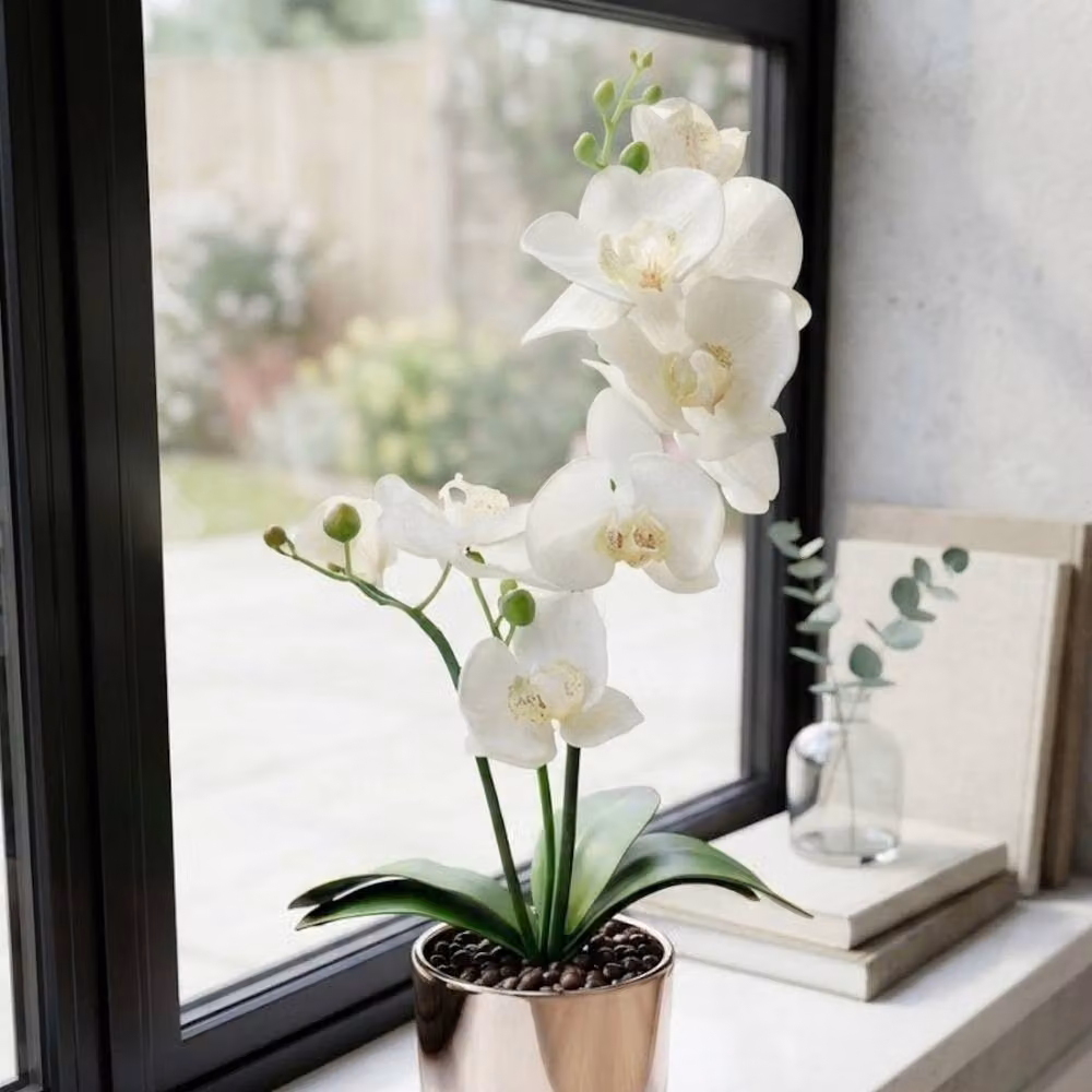 Garden Greatness Artificial White Orchid in a Transparent Glass Pot with Silver Accents – 2