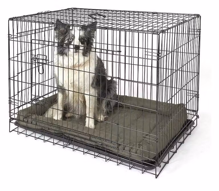 Cheap Furniture Warehouse Large Double Door Metal Dog Crate Kennel in Black