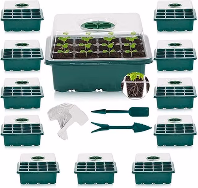 Dragodirect 6 Pack Seed Tray Propagator Set with Transparent Lids in Green