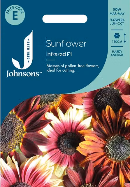 Johnsons Seeds Multicolour Infrared Sunflower Seeds for Ornamental Gardens