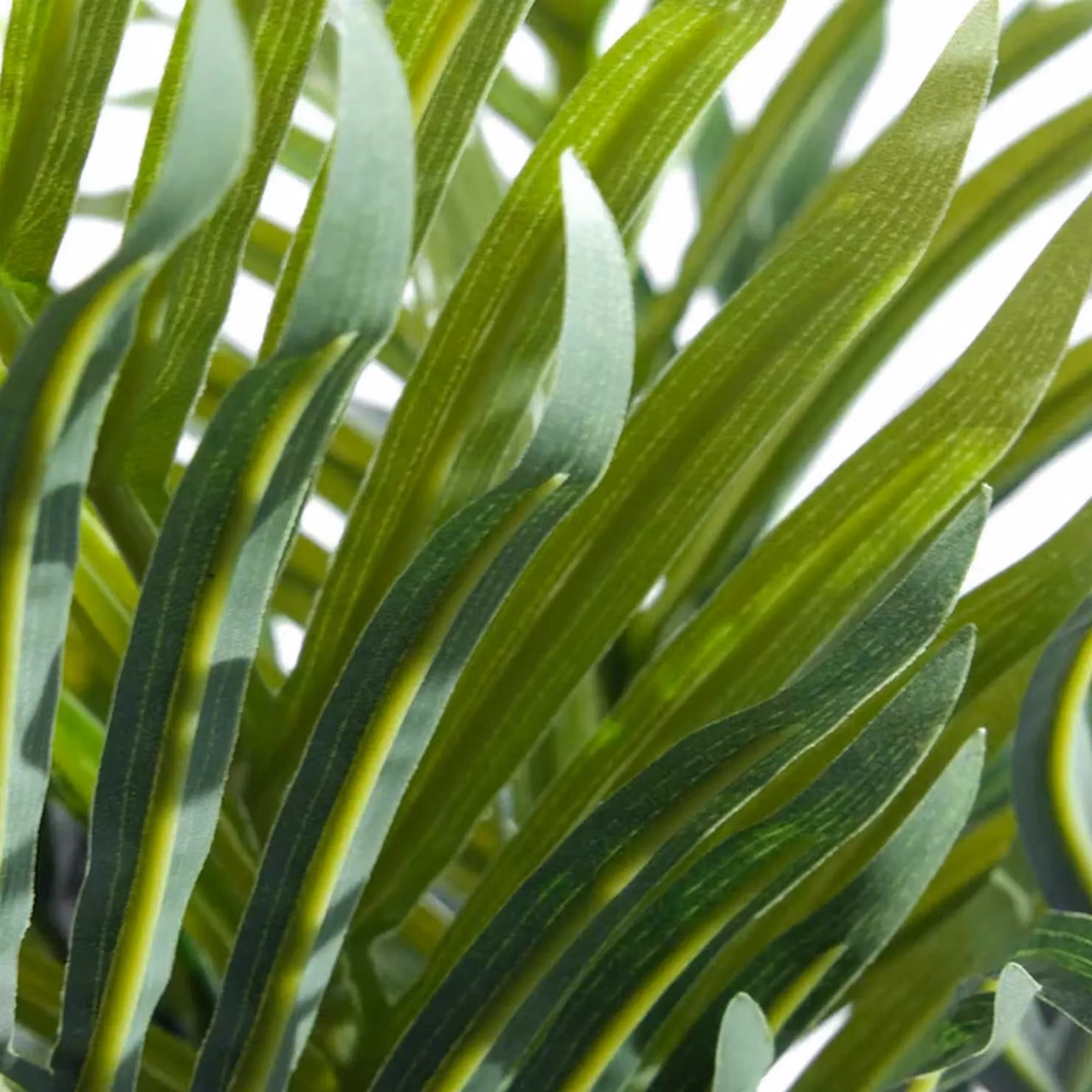 Leaf UK Green Artificial Mini Palm Tree Tabletop Plant, Height: 50 cm – 2