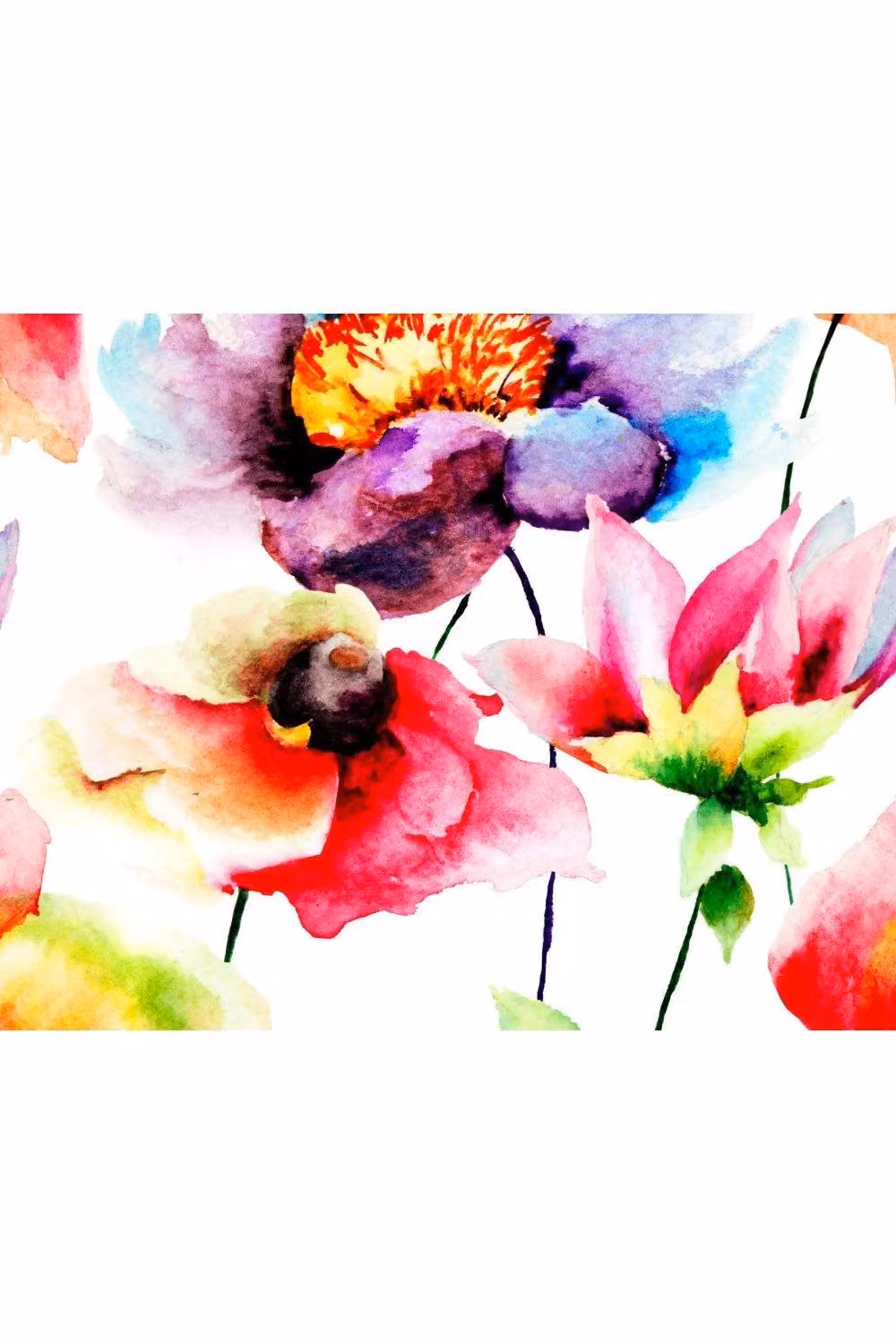 Origin Murals Watercolour Flora Multicolour Wall Mural W: 350 cm, H: 280 cm – 2