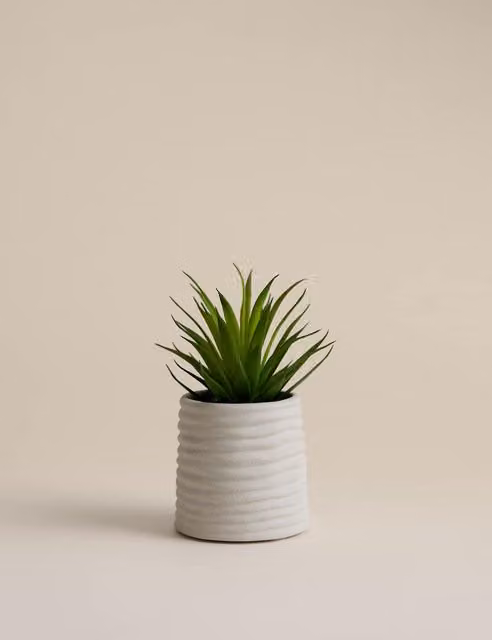 M&S Artificial Mini Air Plant in a Beige Striped Ceramic Pot, Green
