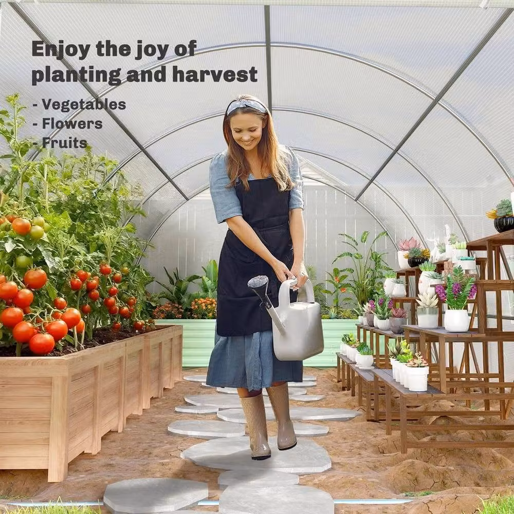 FLAVORA White Polytunnel Greenhouse W: 6 m, D: 3 m, H: 2 m – 3