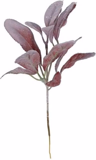 KDMD Burgundy Glitter Flocked Lambs Ear Stem, 6 Pack