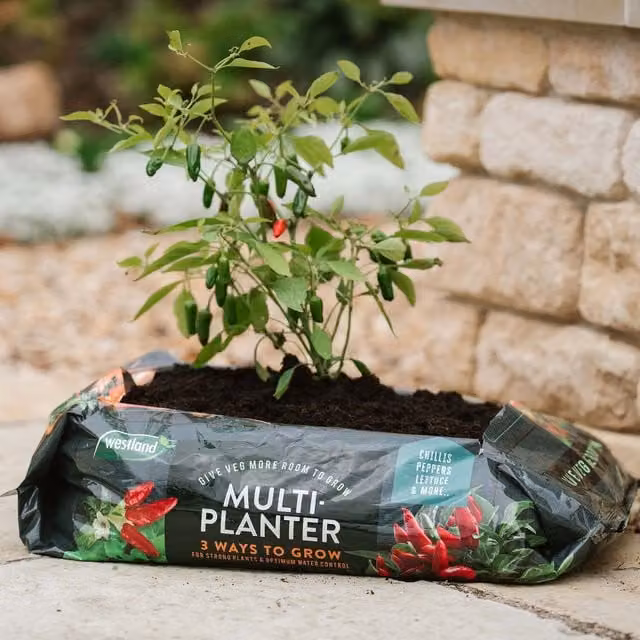 Westland Black Plastic Multi-Planter Tub for Vegetable and Ornamental Gardens