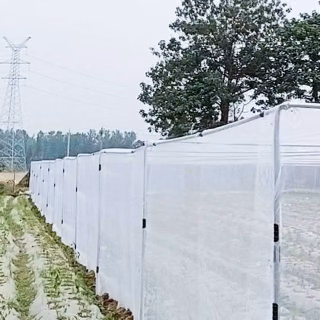 Ventryn White Insect Net for Vegetable Plants and Bird Protection, 3 x 15 m